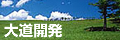 大道開発