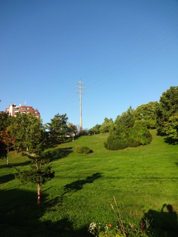 平岸高台公園　徒歩３分