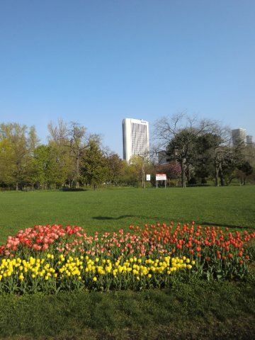 中島公園徒歩１分