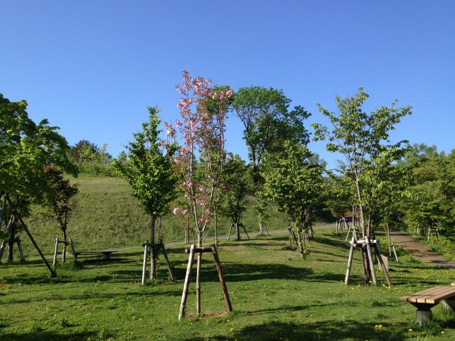 旭山公園　徒歩１５分